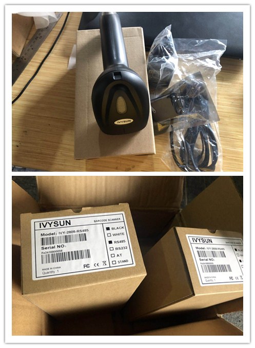 ivy-2808.jpg ivy-2808.jpg